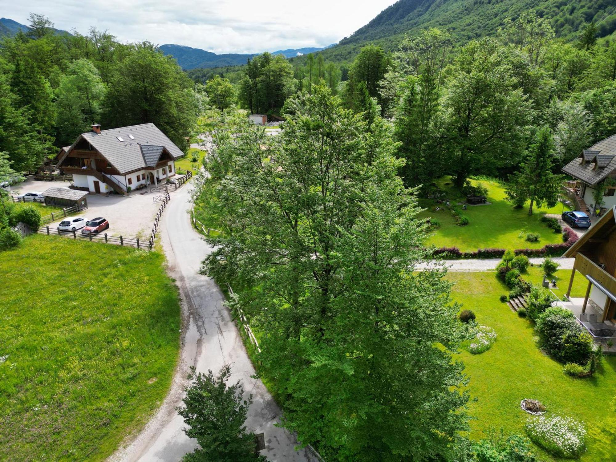 Sobe In Apartmaji Pri Ukcu Bohinj Bagian luar foto