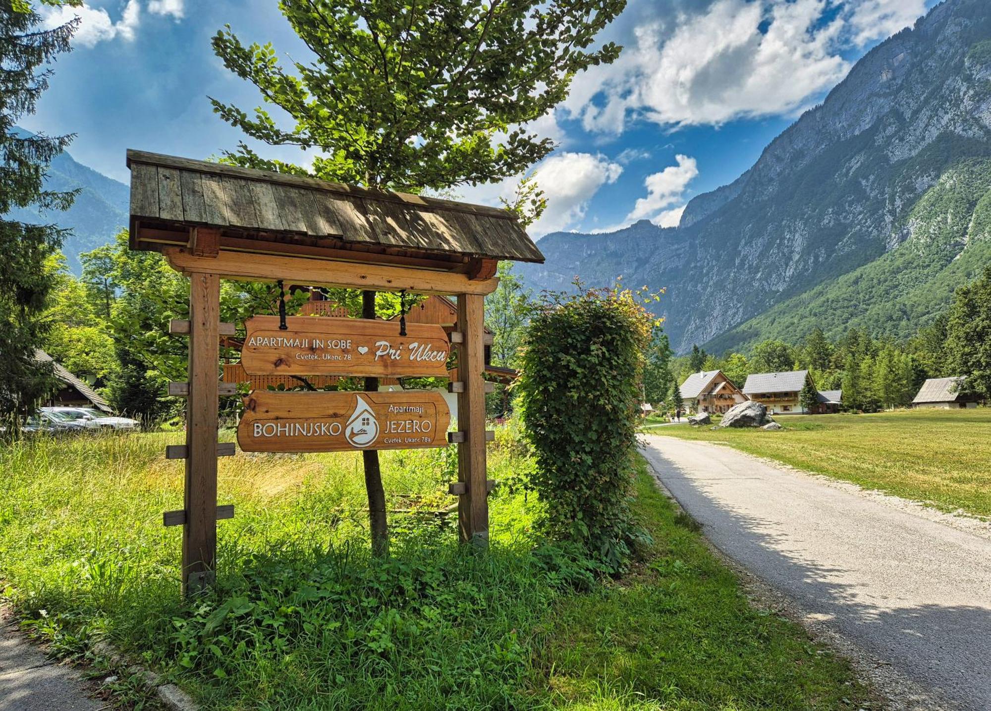 Sobe In Apartmaji Pri Ukcu Bohinj Bagian luar foto